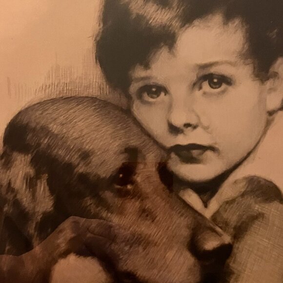 J. Knowles Hare Signed Etching "Sympathy" Boy and Dog Irish Setter or Retriever - Picture 8 of 10